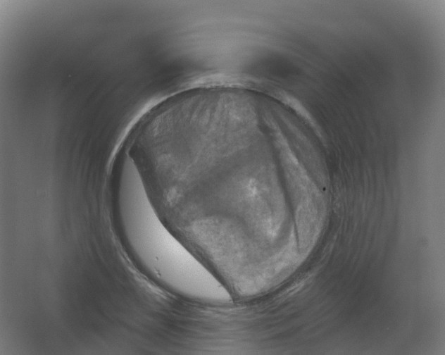 X0000066931075200604141952