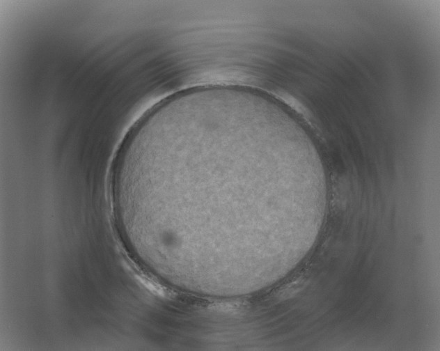 X0000066931078200604141952