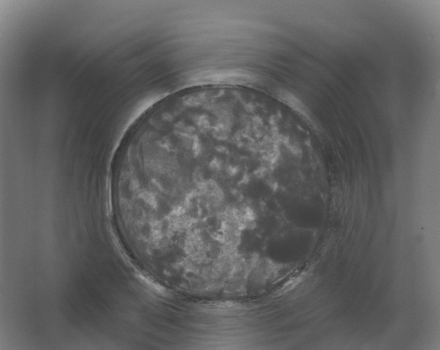 X0000066931079200604141952