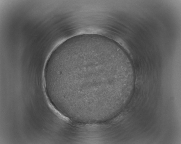 X0000066931080200604141952