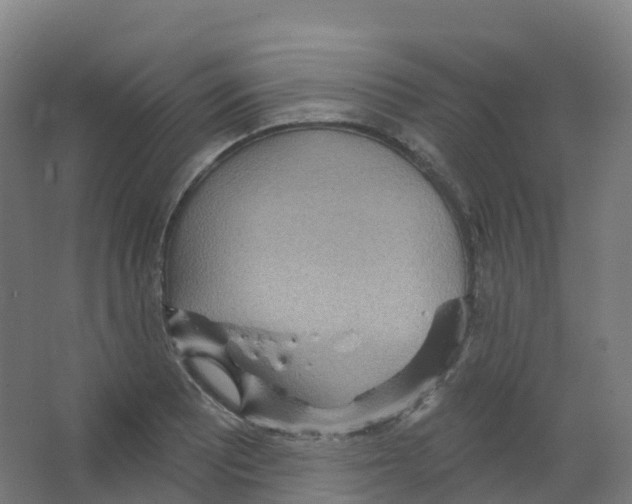 X0000066931081200604141952