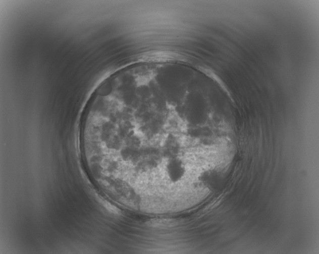 X0000066931083200604141951