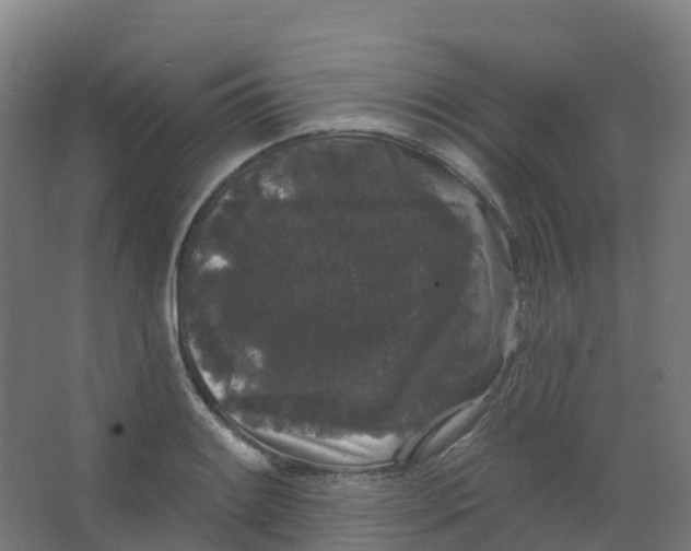 X0000066931084200604141951