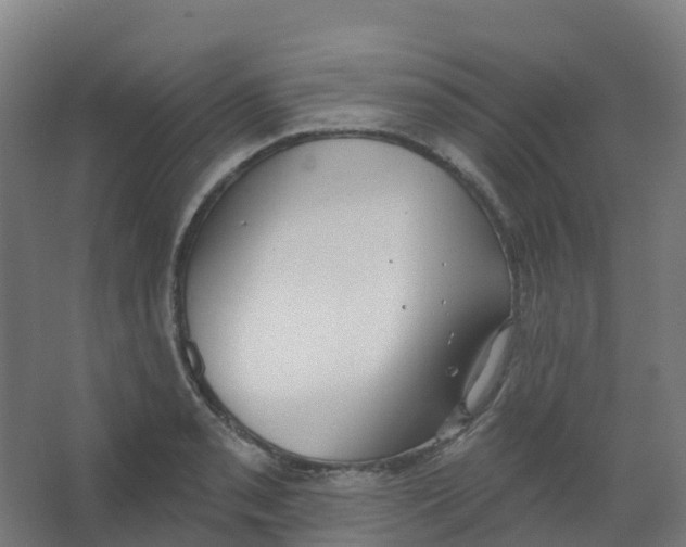 X0000066931085200604141951