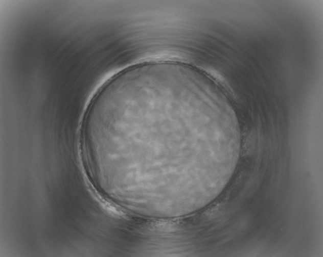 X0000066931086200604141951