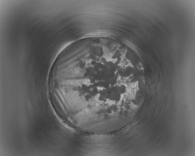 X0000066931087200604141951