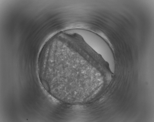 X0000066931088200604141951