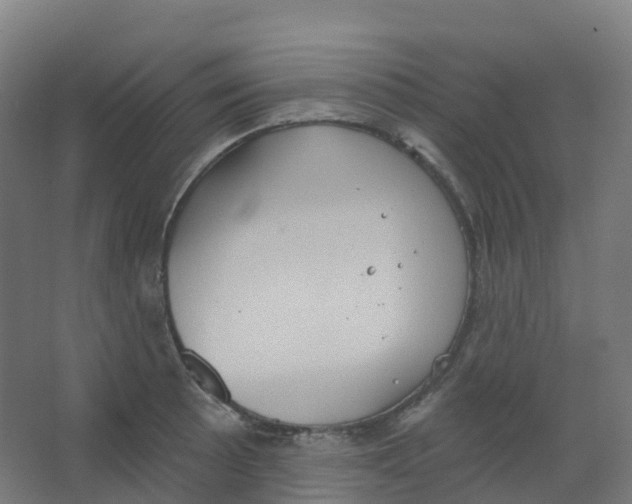 X0000066931089200604141951