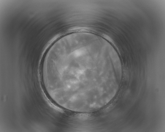 X0000066931090200604141951