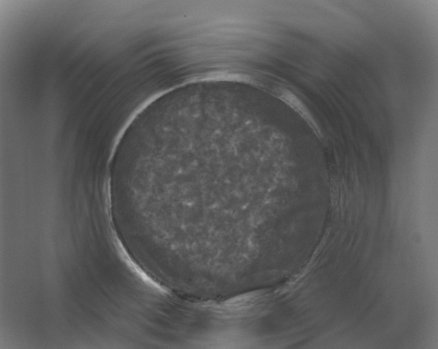 X0000066931092200604141951