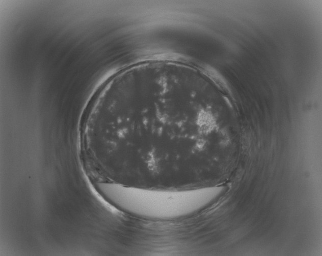 X0000066931095200604141951