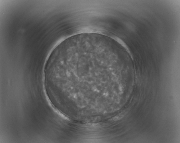 X0000066931096200604141951