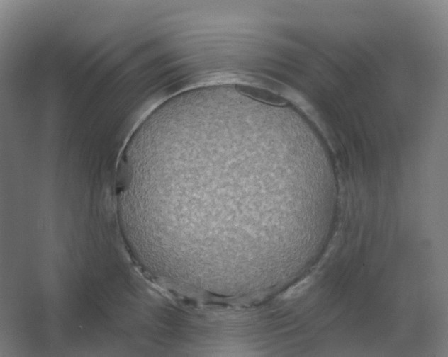 X0000066931097200604141951