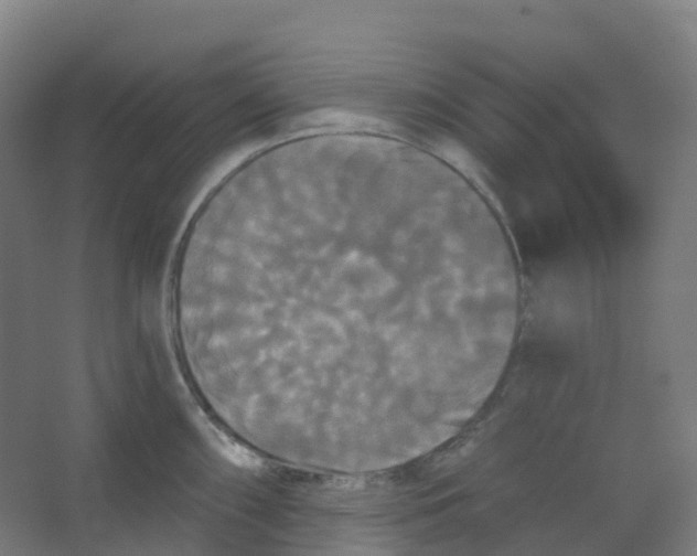 X0000066931098200604141951