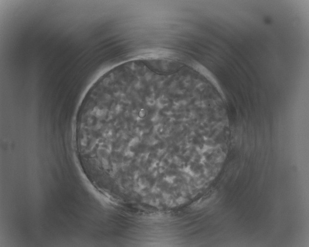 X0000066931099200604141951