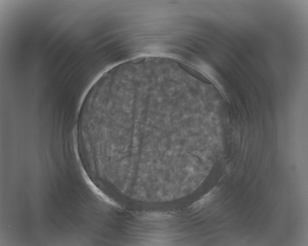 X0000066931100200604141951