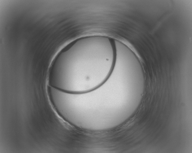 X0000066931101200604141951