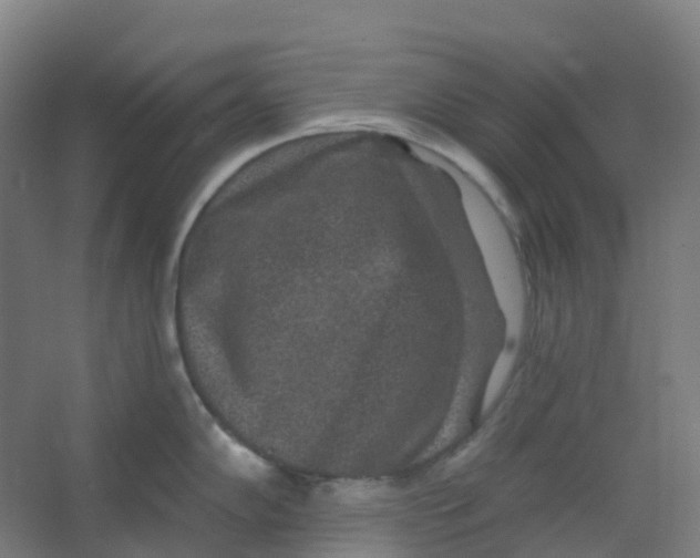 X0000066931102200604141951