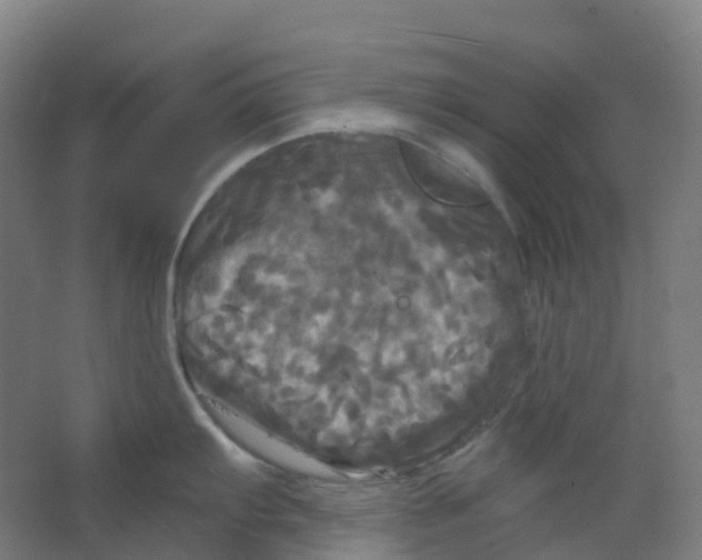 X0000066931103200604141951