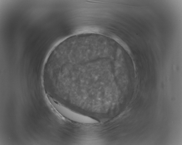 X0000066931104200604141951