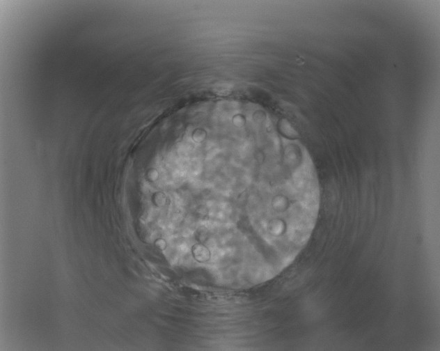 X0000066931105200604141950