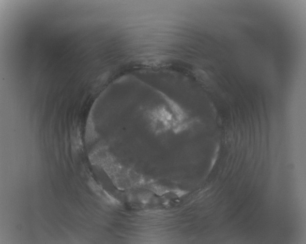 X0000066931106200604141950