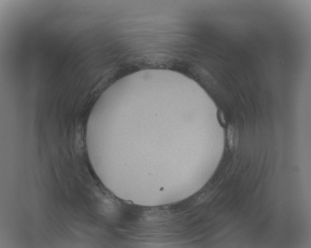 X0000066931107200604141950