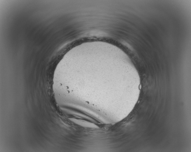 X0000066931112200604141950