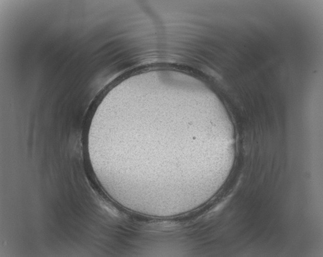 X0000066931113200604141950