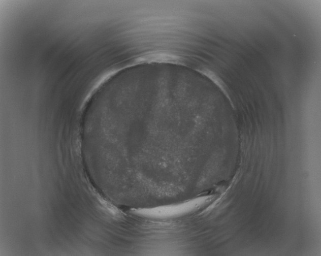 X0000066931115200604141951