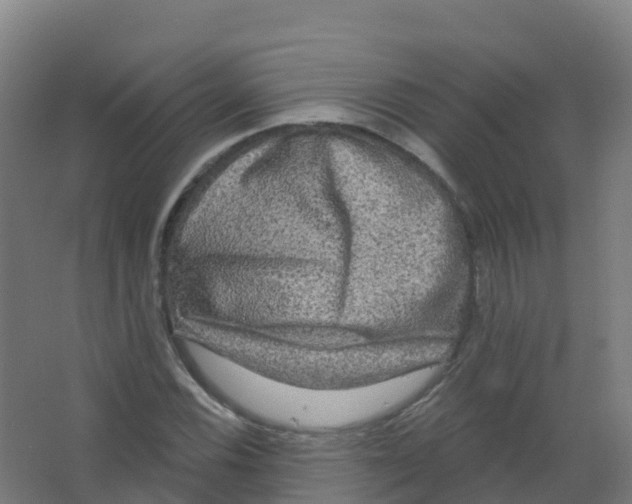 X0000066931116200604141951