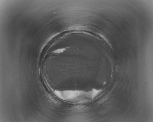 X0000066931117200604141951