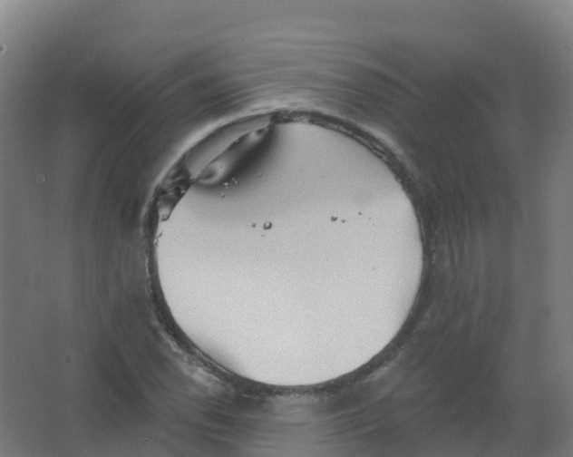 X0000066931118200604141951