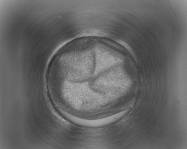 X0000066931120200604141951