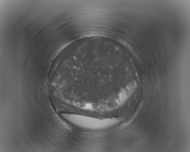 X0000066931121200604141951