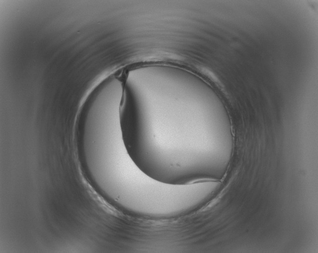 X0000066931122200604141951