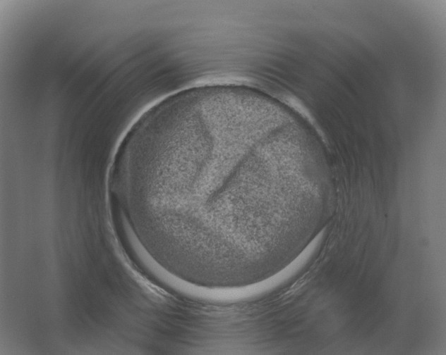 X0000066931124200604141951