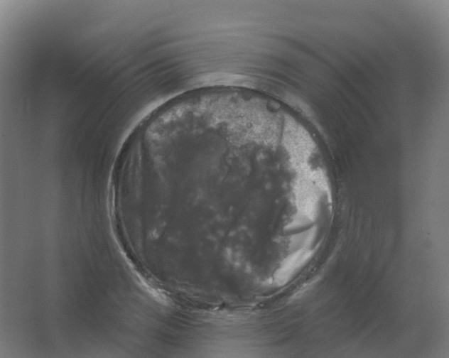 X0000066931125200604141951