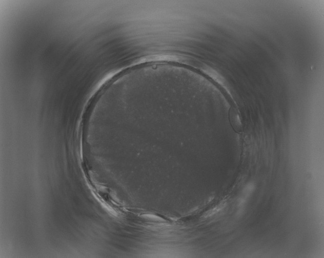 X0000066931127200604141951