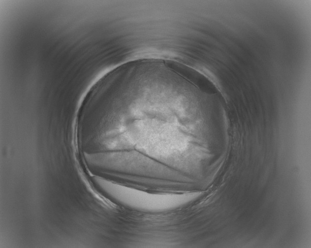 X0000066931128200604141951