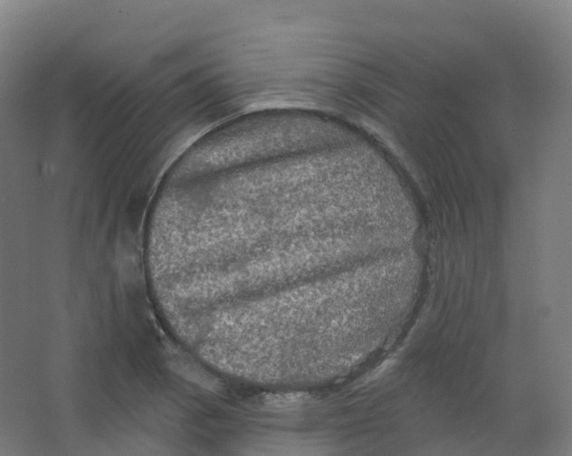 X0000066931129200604141951