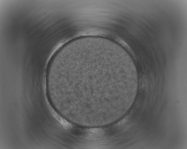 X0000066931130200604141951