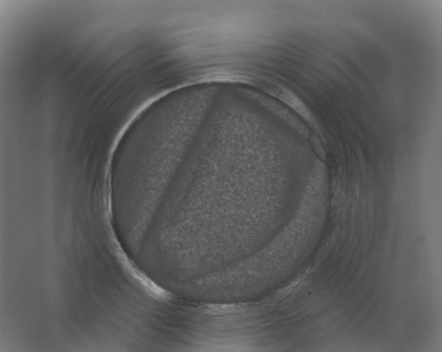 X0000066931132200604141951