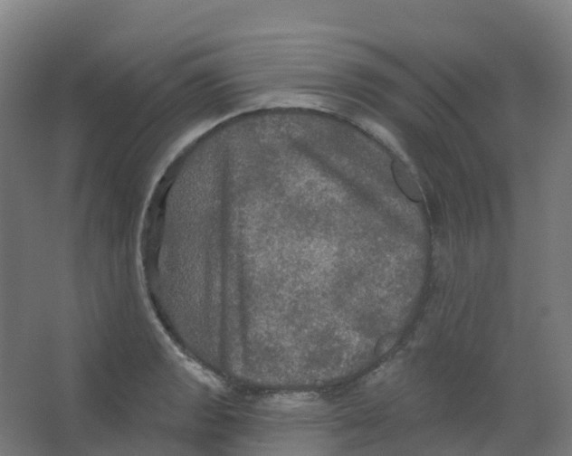 X0000066931133200604141951