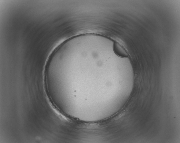 X0000066931135200604141951