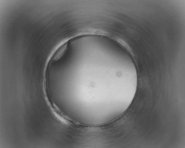 X0000066931136200604141951