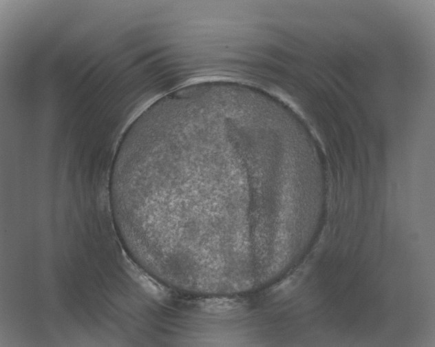 X0000066931137200604141951