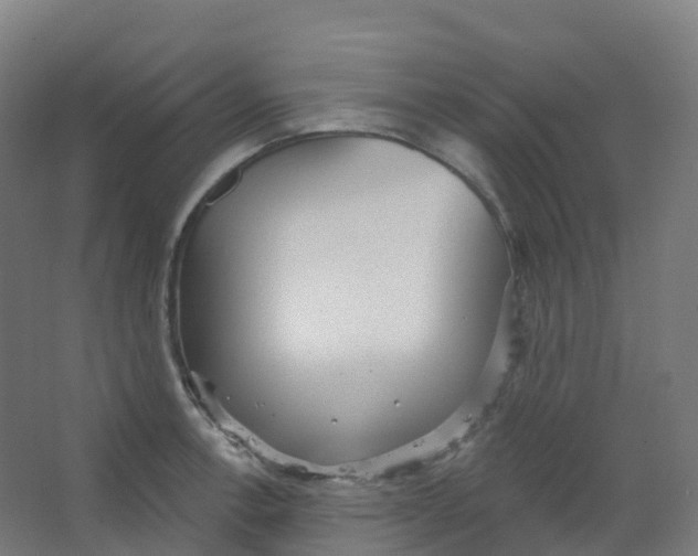 X0000066931138200604141951