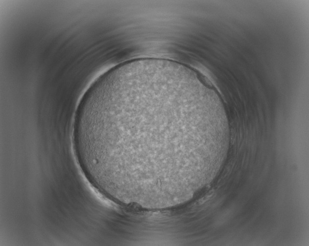 X0000066931139200604141951