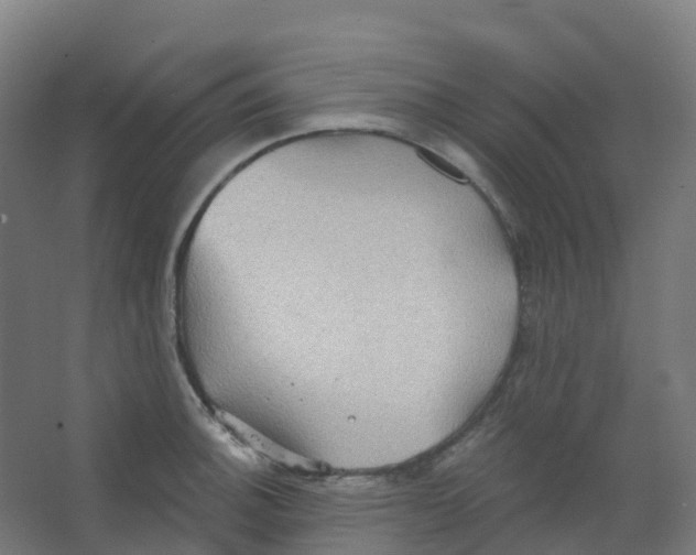 X0000066931140200604141951